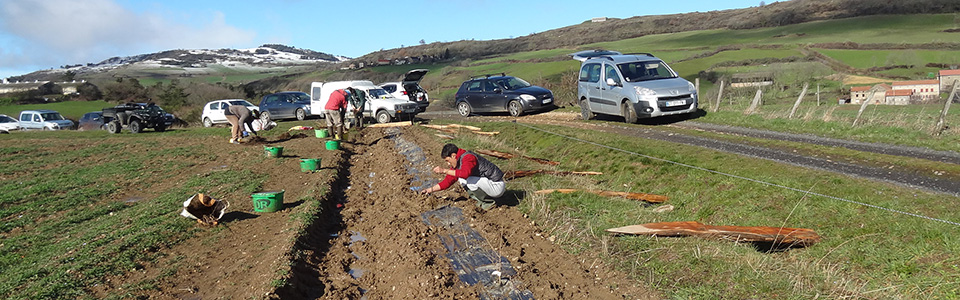 autrac-960x300-03.jpg autrac-960x300-03.jpg