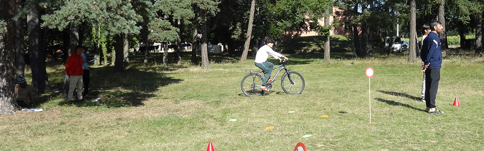 animvelo-06-pano.jpg animvelo-06-pano.jpg