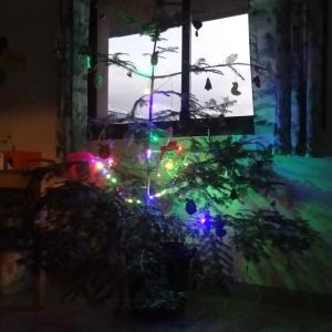 241207-Familles