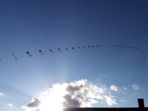 train de cerfs-volants