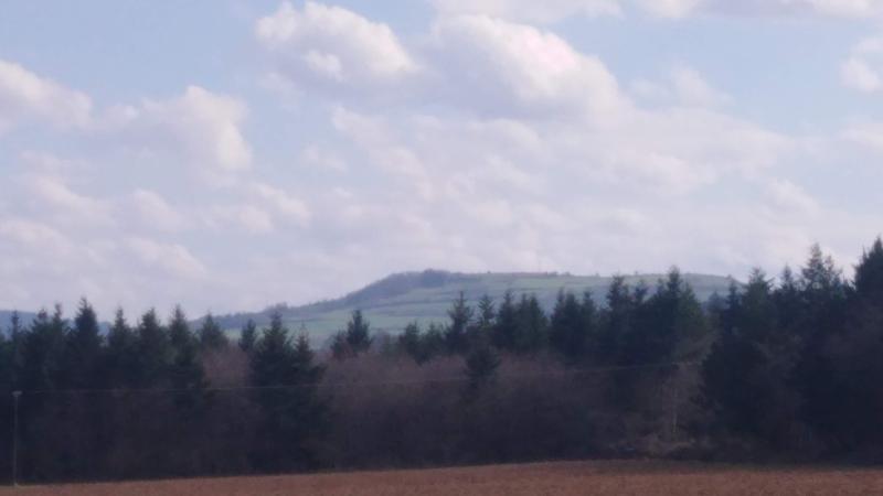 Pié de la Verguere