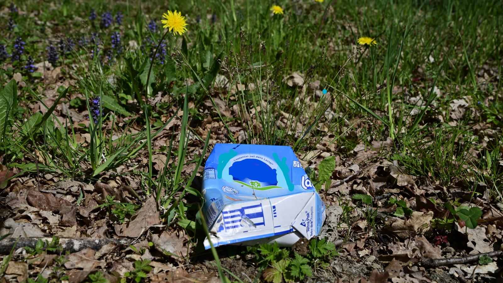 Art et Déchets