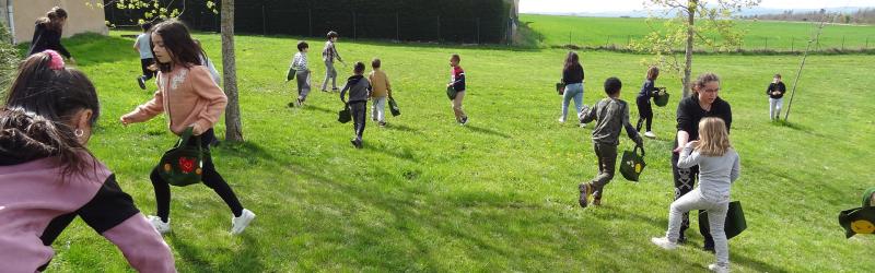 Chasse oeufs 4