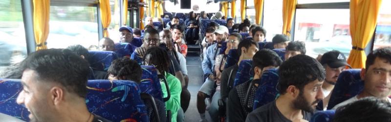 Bus