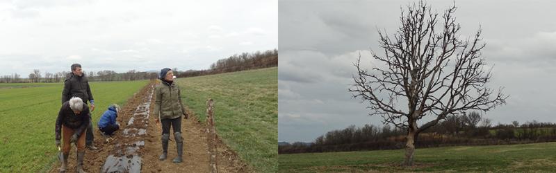 250309-Aux-Arbres